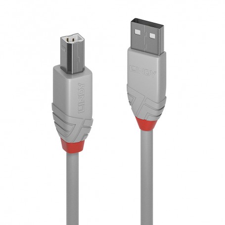 Lindy 36683 cavo USB 2 m USB 2.0 USB A USB B Grigio (36683)