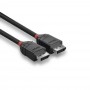 Lindy 36494 cavo DisplayPort 1,5 m Nero (36494-LND) (36494) (36494-LND)