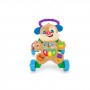 Fisher-Price Cagnolino Primi Passi (FRC84)