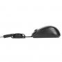 Targus Compact Blue Trace Mouse (AMU75EU)