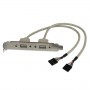 StarTech.com Adattatore piastra slot USB A femmina 2 porte (USBPLATE)