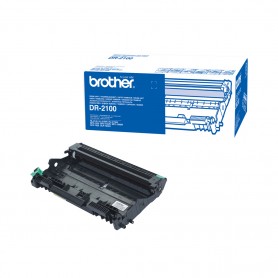 Brother DR2100 Originale (DR2100)