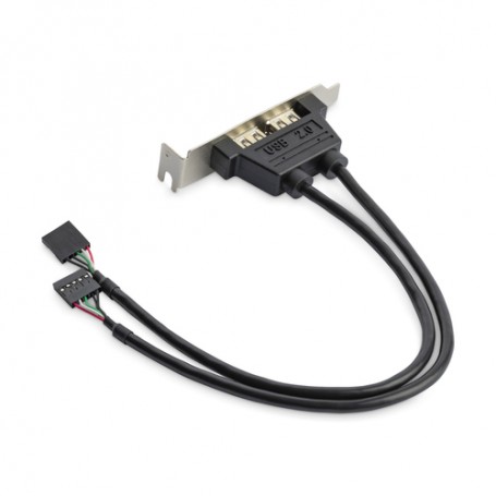 StarTech.com Adattatore piastra slot basso profilo 2 porte USB A femmina (USBPLATELP)