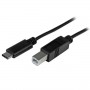 StarTech.com Cavo USB-C a USB-B da 2m - M/M - Cavo USB 2.0 Tipo C a USB-B (USB2CB2M)