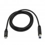 StarTech.com USB315CB2M cavo USB 2 m USB 3.2 Gen 1 (3.1 Gen 1) USB C USB B Nero (USB315CB2M)