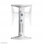 Neomounts by Newstar Supporto a parete e a soffitto per altoparlanti (SPEAKER-W100)