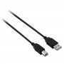 V7 Cavo USB nero da USB 2.0 A maschio a USB 2.0 B maschio 2m 6.6ft (V7E2USB2AB-1.8M)