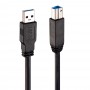 Lindy 43098 cavo USB 10 m USB 3.2 Gen 1 (3.1 Gen 1) USB A USB B Nero (43098)