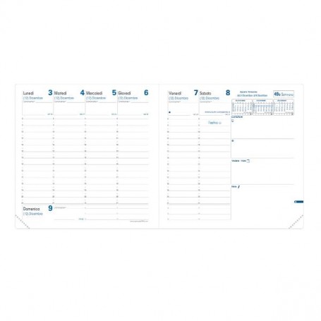 ESECUTIVO RUB IT CLUB VERDE SALVIA