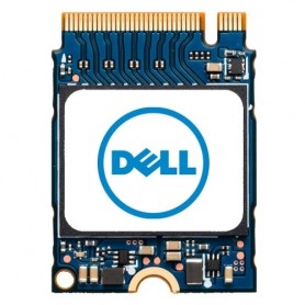 DELL AB673817 drives allo stato solido M.2 1000 GB PCI Express NVMe (AB673817)