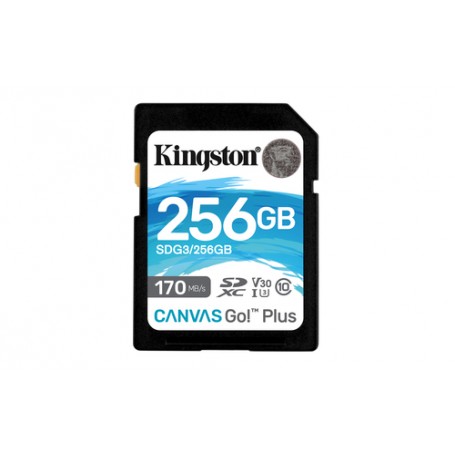 Kingston Technology Canvas Go! Plus 256 GB SD UHS-I Classe 10 (SDG3/256GB)