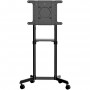 StarTech.com Carrello porta TV con ruote - Supporto TV portatile per schermi VESA da 37-70" (70 kg) - Supporto TV  (MBLTVSTNDEC)