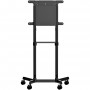 StarTech.com Carrello porta TV con ruote - Supporto TV portatile per schermi VESA da 37-70" (70 kg) - Supporto TV  (MBLTVSTNDEC)