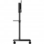StarTech.com Carrello porta TV con ruote - Supporto TV portatile per schermi VESA da 37-70" (70 kg) - Supporto TV  (MBLTVSTNDEC)