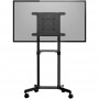 StarTech.com Carrello porta TV con ruote - Supporto TV portatile per schermi VESA da 37-70" (70 kg) - Supporto TV  (MBLTVSTNDEC)