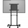 StarTech.com Carrello porta TV con ruote - Supporto TV portatile per schermi VESA da 37-70" (70 kg) - Supporto TV  (MBLTVSTNDEC)