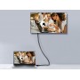 Equip 119333 Cavo DisplayPort 1.2, 3,0 m, 4K/60Hz