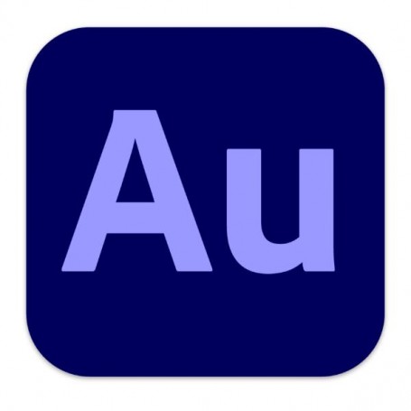 AUDITION PRO ENT ML SUB N