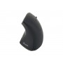 Equip 245110 mouse Mano destra RF Wireless Ottico 1600 DPI (245110)