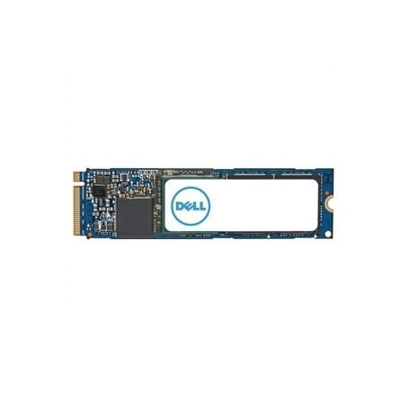 DELL AC037409 drives allo stato solido 1 TB M.2 PCI Express 4.0 NVMe