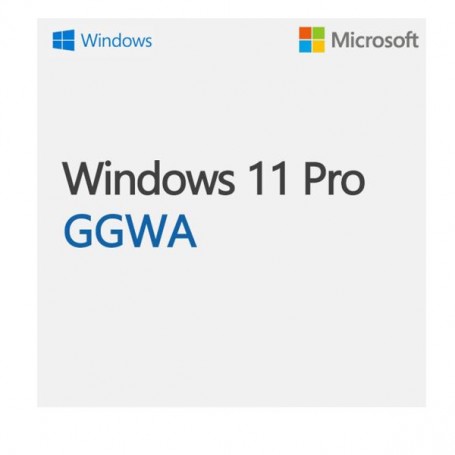 WINGGWA-WIN11PRON-LEGALGETGENUINE