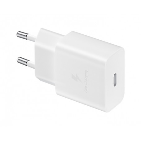 CHARGER 15W TYPEC WHITE NO CAVO (EP-T1510NWEGEU)