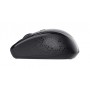 Trust TM-200 mouse Ambidestro RF Wireless Ottico 1600 DPI (23635)