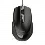 Trust Voca mouse Mano destra USB tipo A Ottico 2400 DPI (23650)