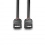 Lindy 36492 cavo DisplayPort 2 m Nero (36492)