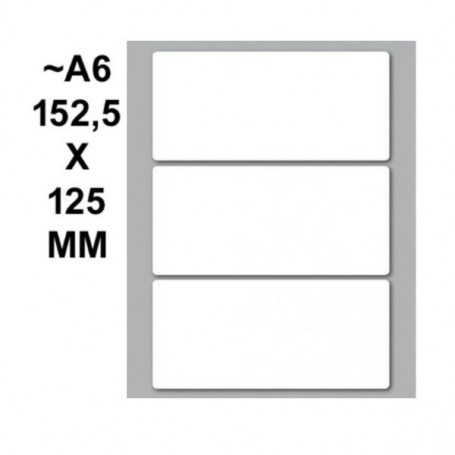 CONF.10 BUSTE ETIC.MARKIN 51 100X46