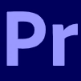 PREMIER PRO TEAMS ML SUB N GOV (65310090BC01B12-12MES)