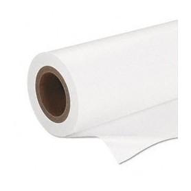 Epson Premium SemiGloss Photo Paper(170), in rotoli da 41, 91 cm x 30, 48m (16, 5" x 100'). (C13S042075)