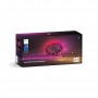 Philips Hue White and Color ambiance Stringa di luci Festavia