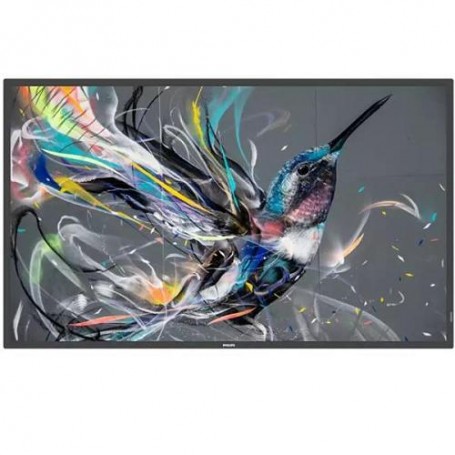 MONITOR 50 Q-LINE 18/7 4K (50BDL3511Q/00)