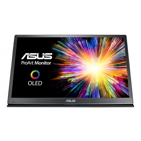 ASUS ProArt PQ22UC 54,9 cm (21.6") 3840 x 2160 Pixel 4K Ultra HD OLED Nero, Grigio (90LM047E-B01370)