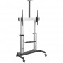 StarTech.com Mobile TV Stand girevole su ruote - Carrello porta TV resistente per schermi da 60-100" (100kg) - Supporto tv da pa