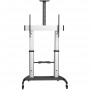 StarTech.com Mobile TV Stand girevole su ruote - Carrello porta TV resistente per schermi da 60-100" (100kg) - Supporto tv da pa