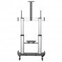 StarTech.com Mobile TV Stand girevole su ruote - Carrello porta TV resistente per schermi da 60-100" (100kg) - Supporto tv da pa