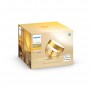 Philips Hue White and Color ambiance IRIS Lampada Smart da Tavolo Oro