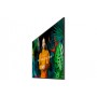 Samsung QH55C Pannello piatto per segnaletica digitale 139,7 cm (55") LCD Wi-Fi 700 cd/m² 4K Ultra HD Nero Processore integrato
