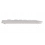 CHERRY KC 1000 tastiera Universale USB AZERTY Belga Grigio