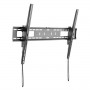 StarTech.com FPWTLTB1 Supporto TV a parete 2,54 m (100") Nero (FPWTLTB1)
