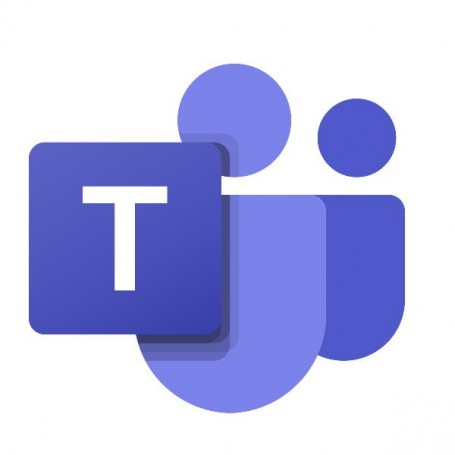 TEAMS PHONE DOMESTIC CALLING Z2