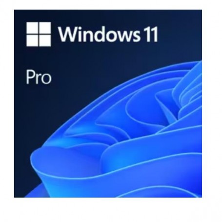 WIN11 PRO N CHARITY