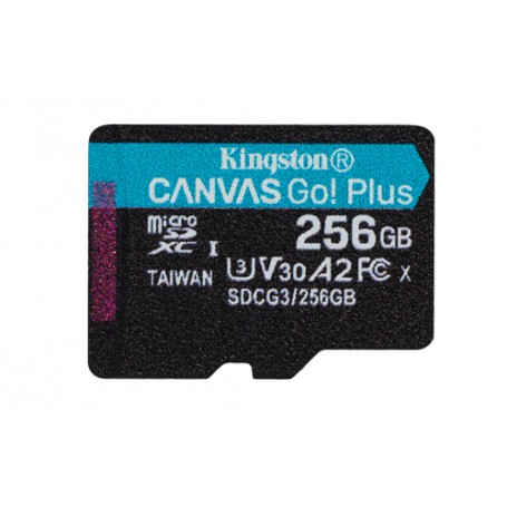 Kingston Technology Canvas Go! Plus 256 GB MicroSD UHS-I Classe 10 (SDCG3/256GBSP)