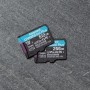 Kingston Technology Canvas Go! Plus 256 GB MicroSD UHS-I Classe 10 (SDCG3/256GBSP)