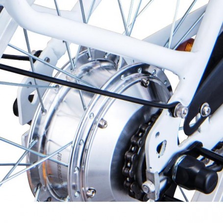 MOTOR J1 250W 36V (ZM9SPJ10012)