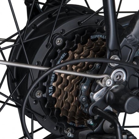 MOTOR J5 NAT GEO 250W 36V (ZM9SPJ50012)