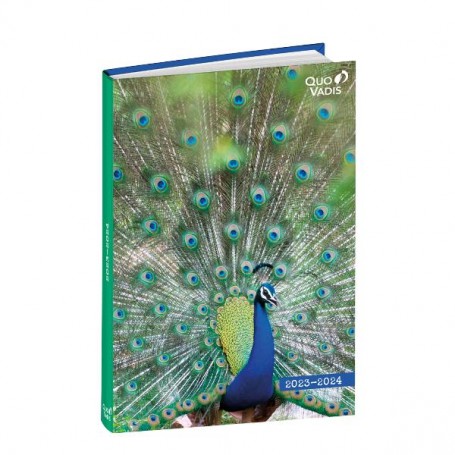 CF6 AG GIORN EUROTEXT AMICI 12X17 (128134QQ) (128134Q)