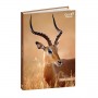CF6 AG GIORN EUROTEXT AMICI 12X17 (128134QQ) (128134Q)